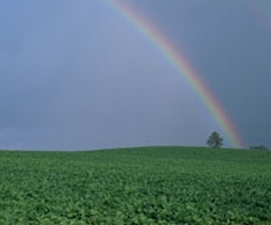 �i���T�v�������g�̑I�ѕ��ɂ���